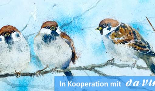 After Work: Alle Vögel sind schon da - Drei Spatzen